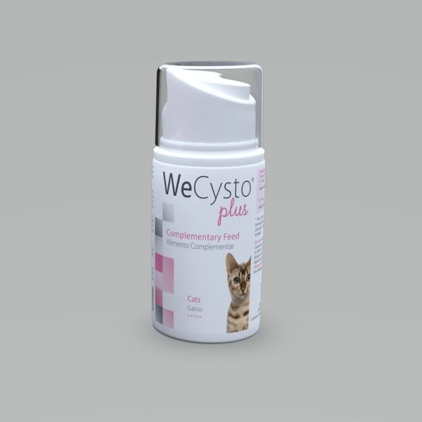 1041301.webp