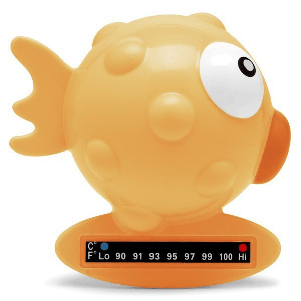 7033498.webp