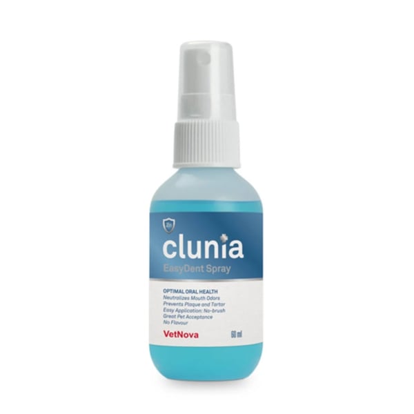 Clunia EasyDent Spray 60ml