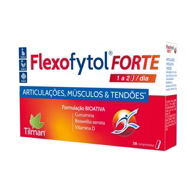 Flexofytol Forte Comp X28